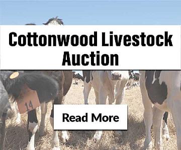 Livestock Auction - Cottonwood, ID