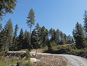 20 ACRE LOTS WITH 180 DEGREE VIEWS