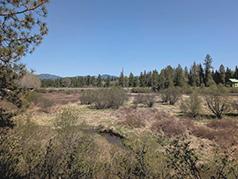 21 ACRE FULLY IMPROVED LOT