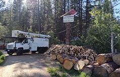 GLEASON'S TREE SERVICE