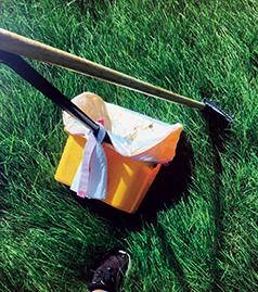 SERVING LC VALLEY FOR 8 YEARS LC VALLEY POOPER SCOOPER IS