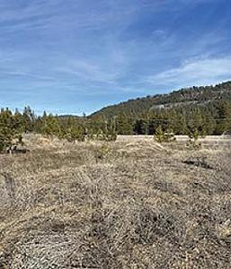PARTIALLY TREED FLAT 3.25 ACRES