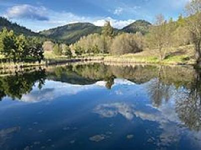 TROUT POND FED BY YEAR ROUND CREEK ON 40 ACRES