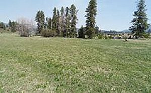 TWO BEAUTIFUL LOTS 71-73 ACRES EACH! 