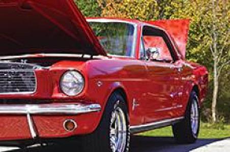 DICK WOLLER BODY SHOP