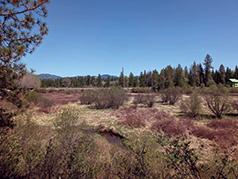 FULLY IMPROVED LOT & HOMESITE LOCATED OFF HWY 20 NEAR USK