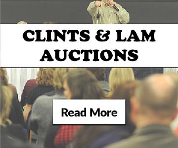 Exciting Vintage Auction Orofino