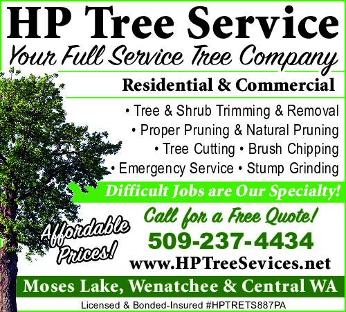 PDF Preview - Expert Tree Care Services