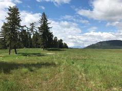 45 ACRES, WELL & POWER, $430,000