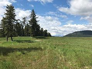 45 ACRES, WELL & POWER, $430,000