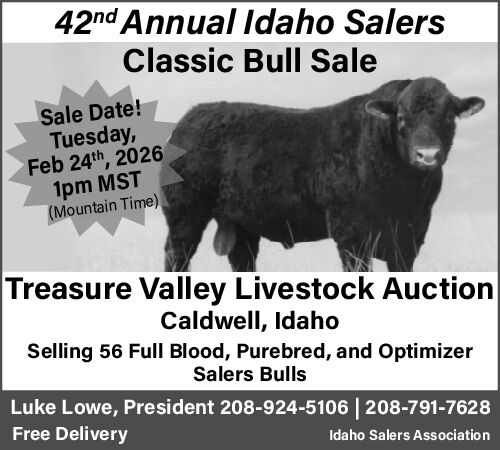PDF Preview - Salers Bulls Sale - 42nd Annual Classic
