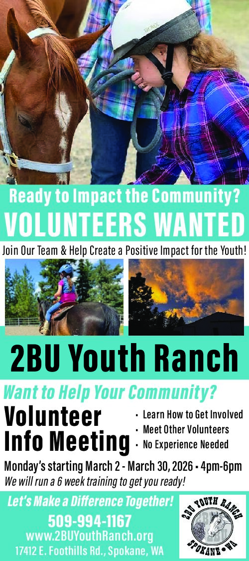 PDF Preview - Volunteers Needed: Help Local Youth