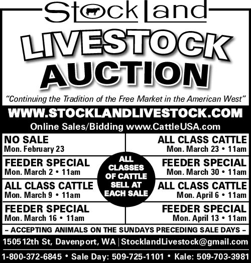 PDF Preview - Livestock Auction - Feeder & All Class Cattle