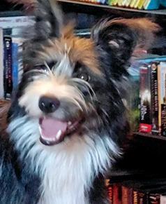 GYPSY NEEDS A HOME