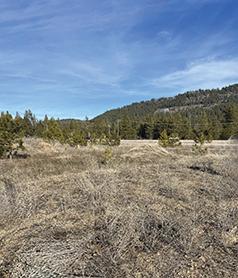 PARTIALLY TREED FLAT 3.25 ACRES