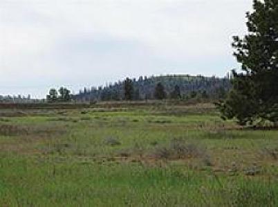 WHERE DO YOU FIND 22.14 ACRES OF BEAUTIFUL FLAT LUSH PASTURE