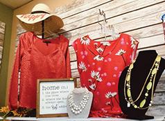 DISCOVERY SHOP CAN HELP YOU ADD A POP OF COLOR AND SOME