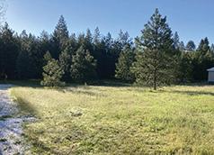 ONE ACRE OF BUILDABLE LAND IN SPRINGDALE
