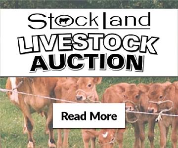 Join Our Livestock Auctions