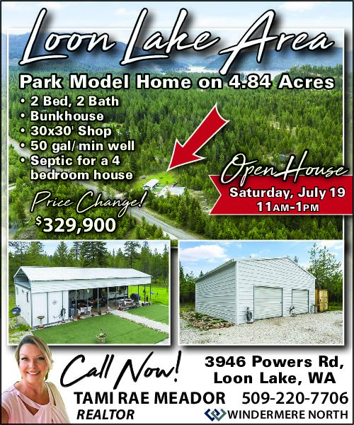 PDF Preview - Loon Lake Home for Sale