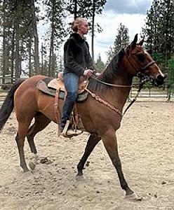 THIS APPENDIX MARE HAS A SET OF PAPERS THAT YOU DON'T COME