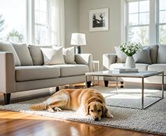 BLESSED HOUSEKEEPING OFFERS