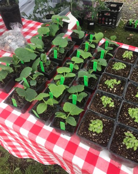 Hillyard Farmers' Market