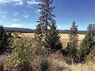2-1/2 ACRES WITH VIEWS & GOOD ACCESS IN SPRINGDALE