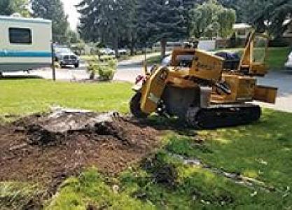 STUMP GRINDING