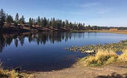 SECLUDED 10 ACRES WTH LAKE ACCESS