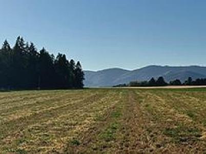 ARE YOU LOOKING FOR PROPERTY TO BUILD ON?