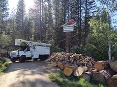 GLEASON'S TREE SERVICE