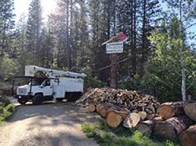 GLEASON'S TREE SERVICE