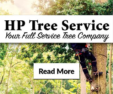 Expert Tree Care Services