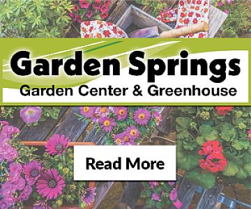 Massive Plant Sale – 75% Off!