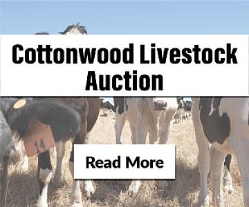 Join Our July Livestock Auction!