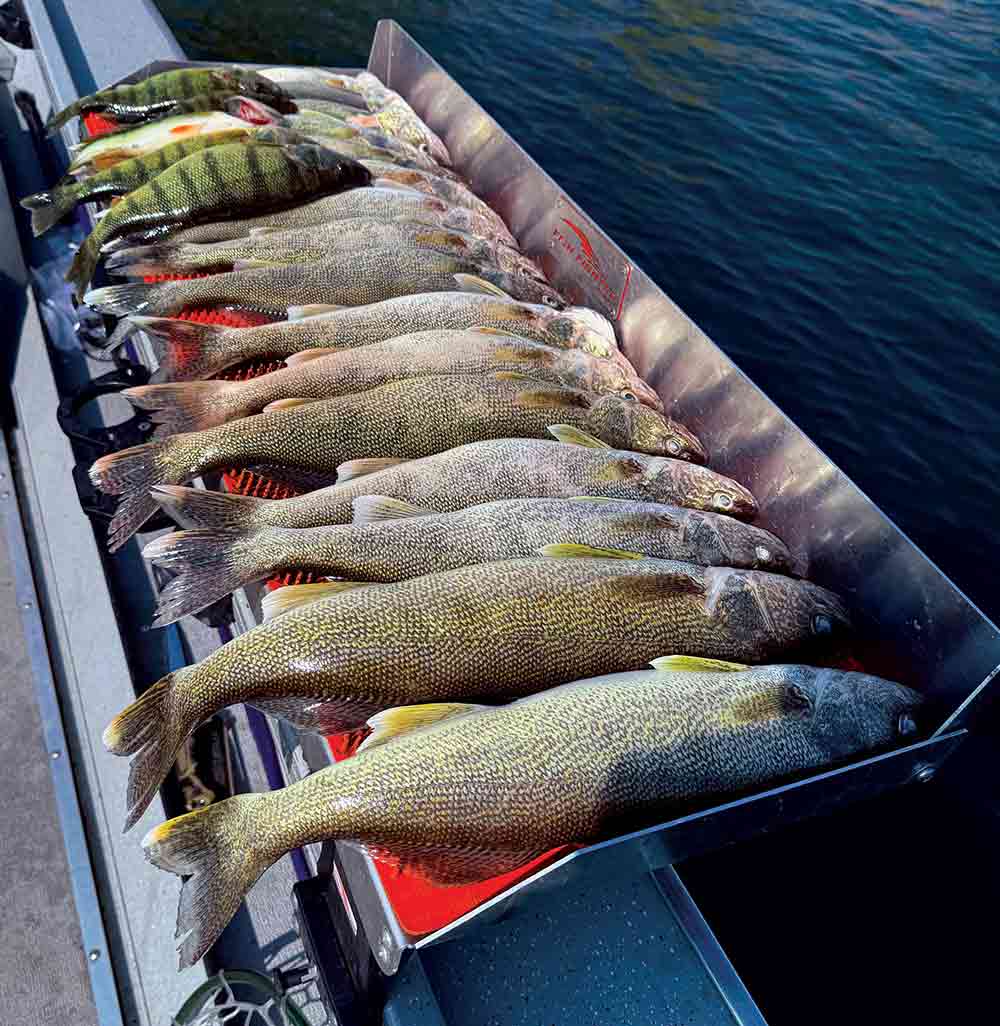 Fall Walleye and Crappie Fishing Tips at Potholes and Banks Lakes