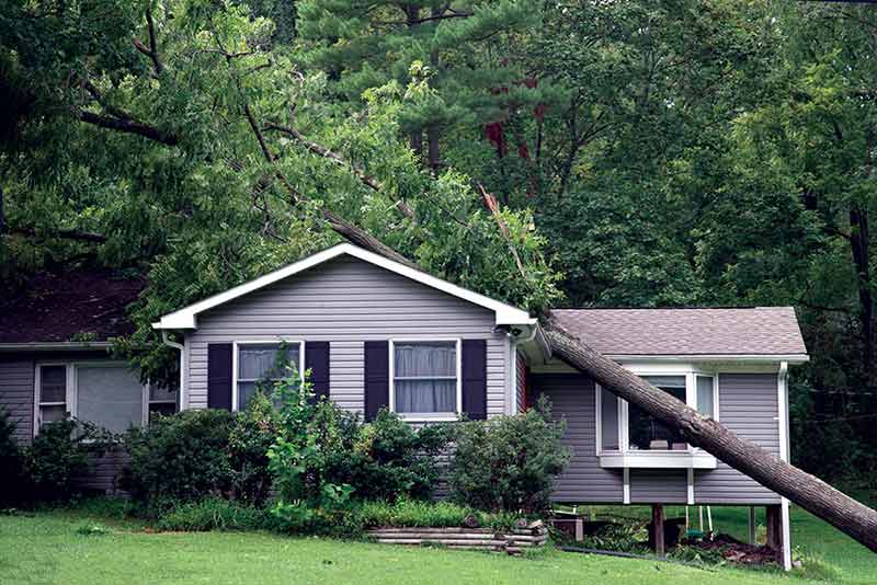 Homeowners Insurance