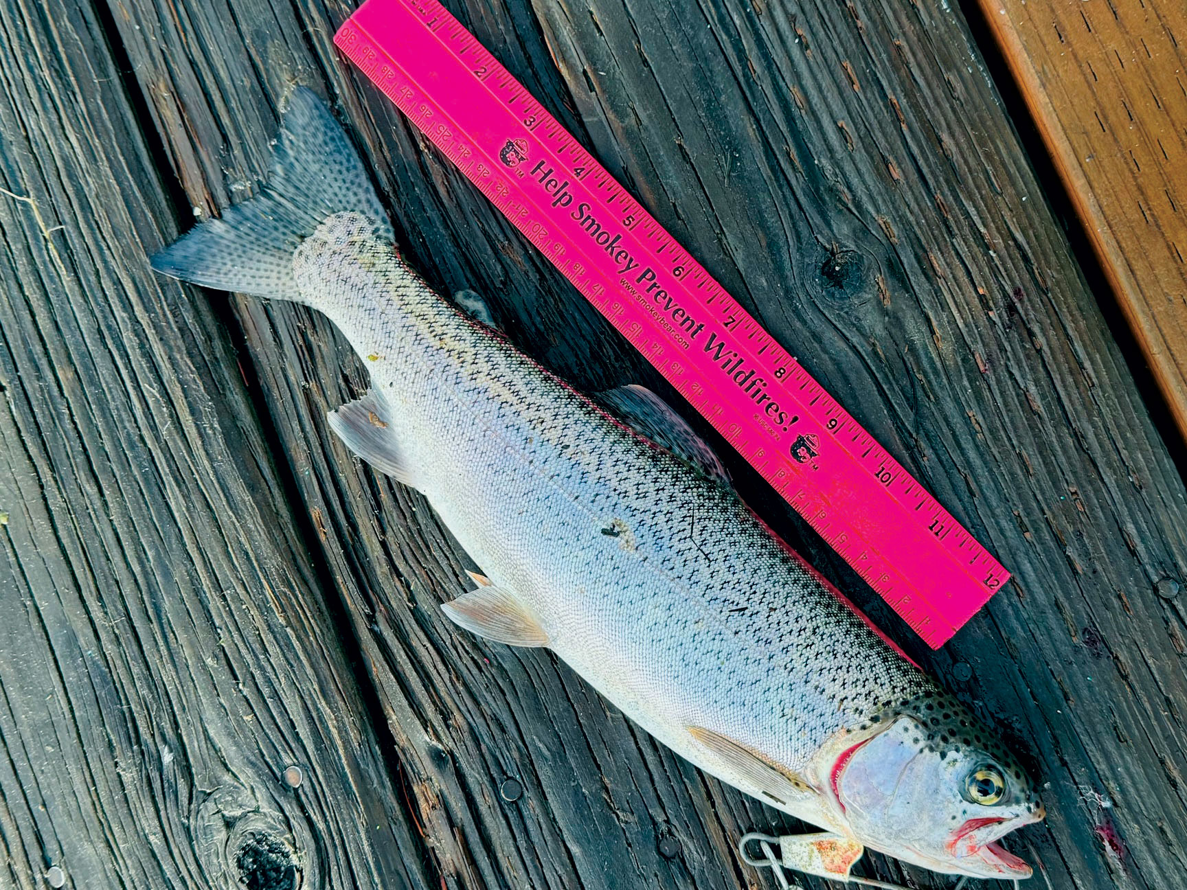 The Fishing Magician: Fishing the Leavenworth Area