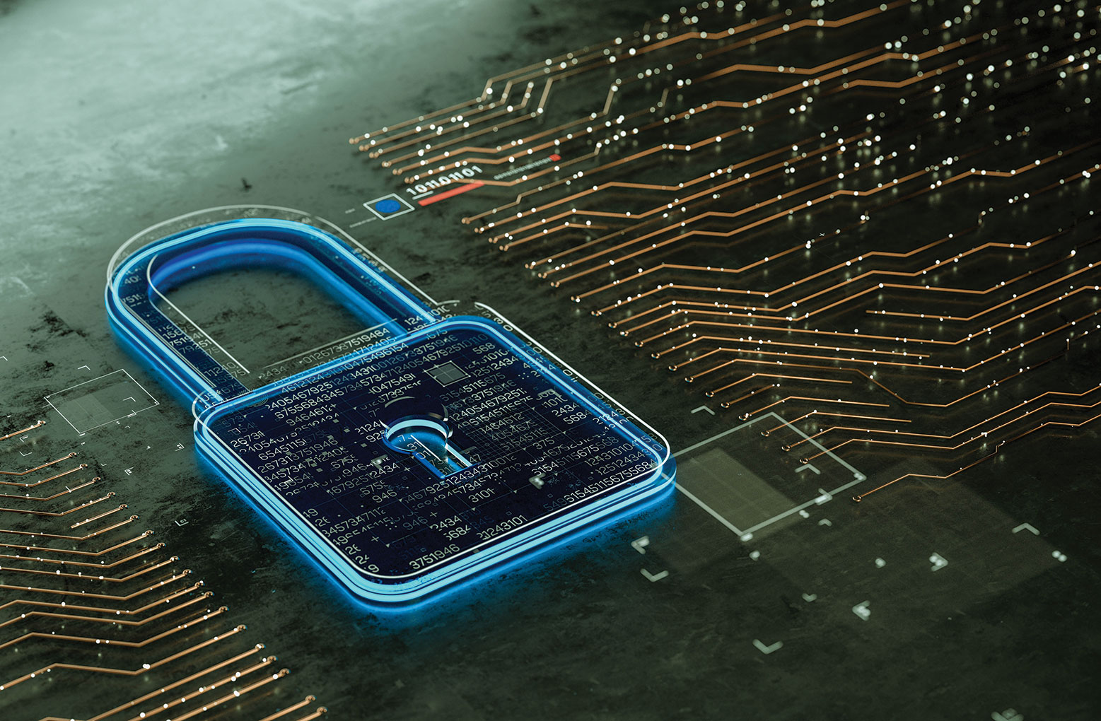 Are You Vulnerable to a Scam?